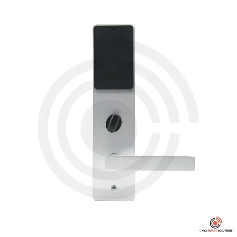smart door lock for main gate in Lahore Pakistan