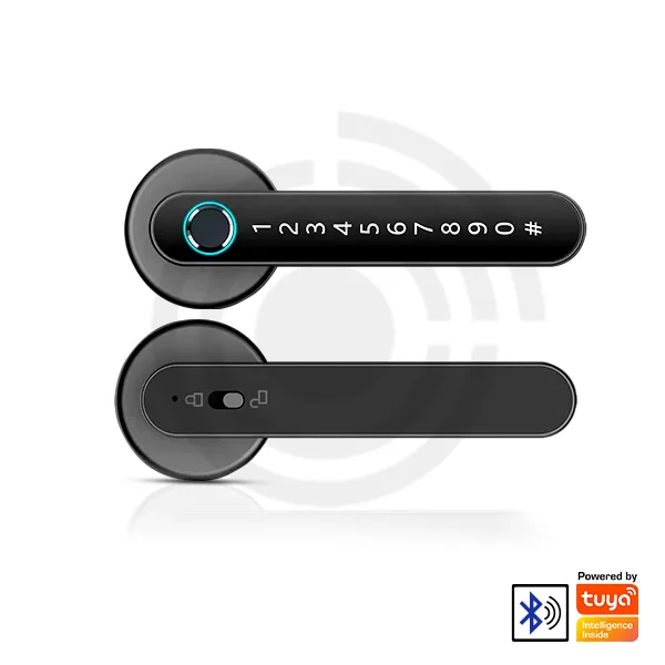 Tuya Smart Lock: Revolutionizing Home Security in Lahore Pakistan